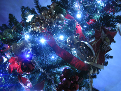 トイザらスのクリスマスツリー口コミ感想・効果